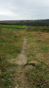 Black Track - Guisborough