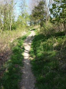 sutton bank climb