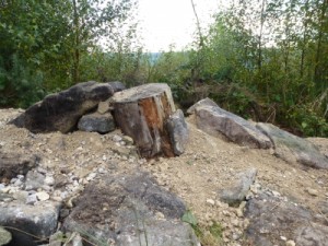 The stump feature at the end of the new section
